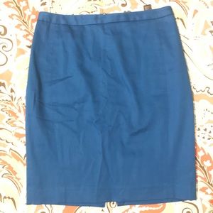 Express Skirt